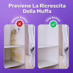 FizzClean image