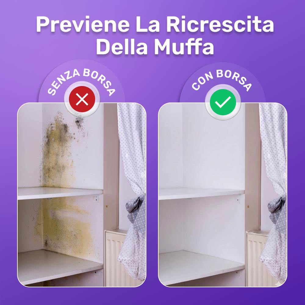FizzClean image