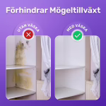 FizzClean image