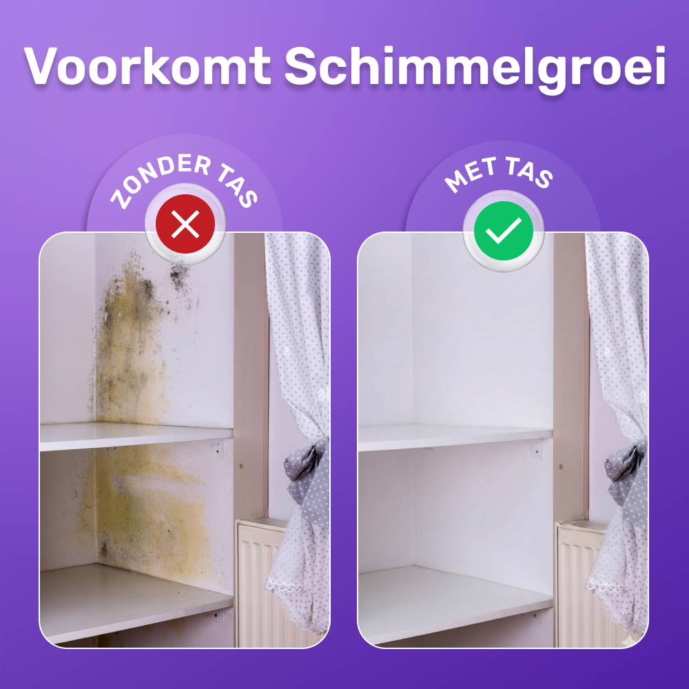 FizzClean image