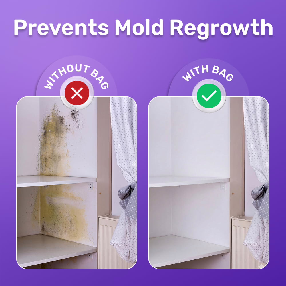 FizzClean image